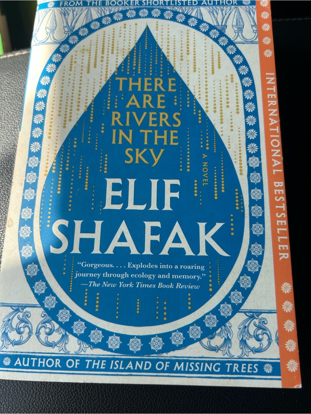 There are Rivers in the Sky by Elif Shafak Book